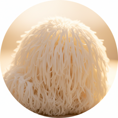 Lion's Mane